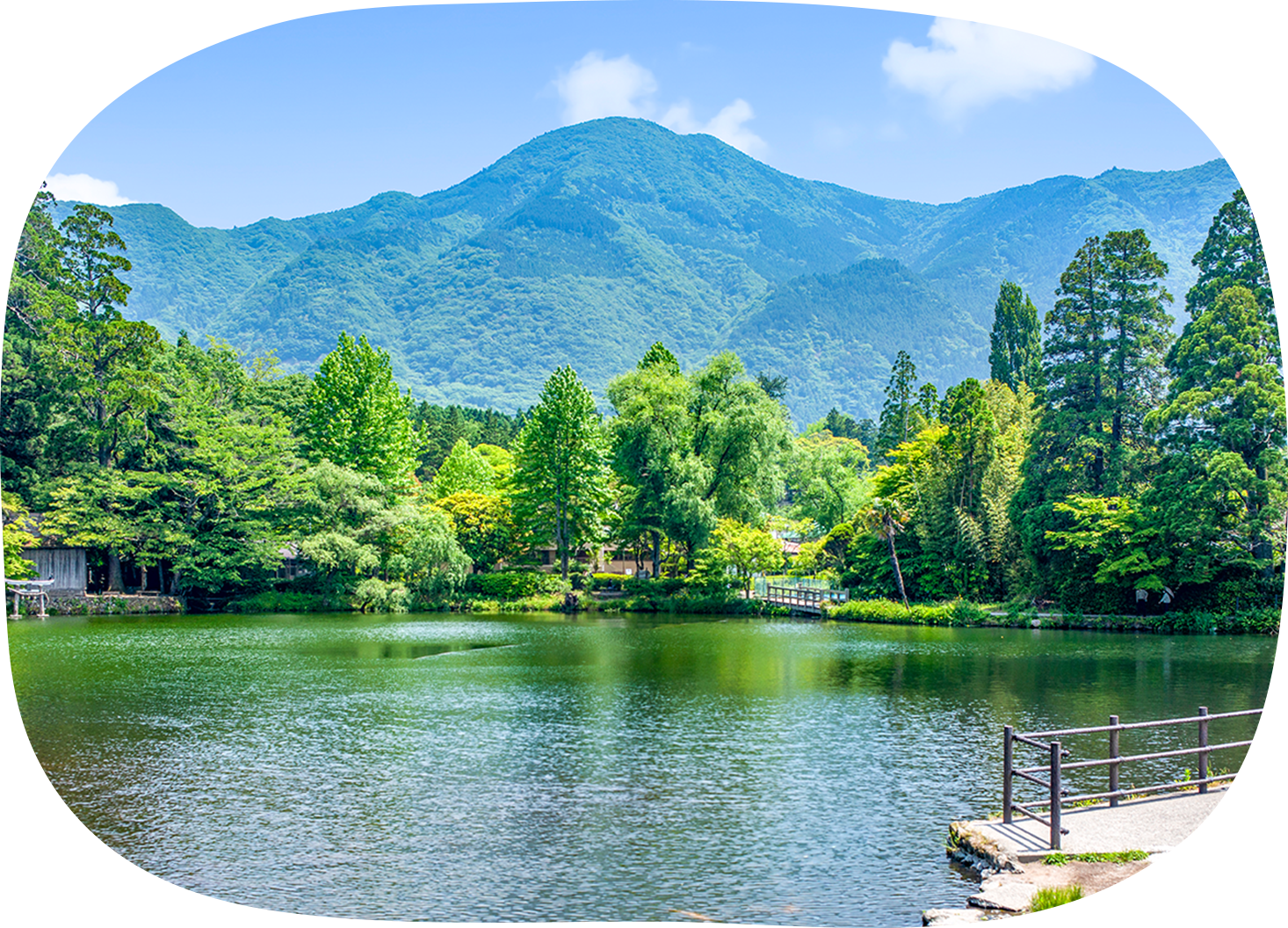 金鱗湖まで徒歩すぐ！絶好の写真スポット